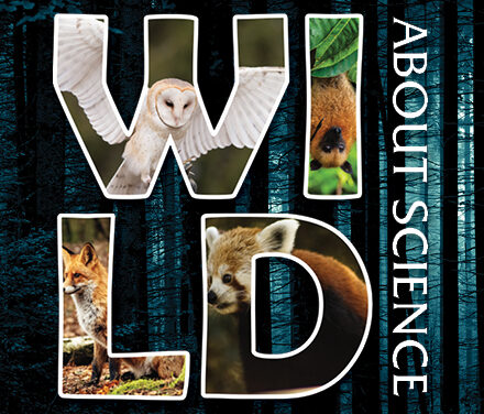 Wild About Science: Nocturnal Animals