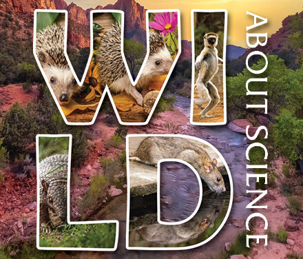 Wild About Science: Mammals