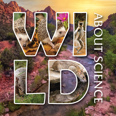 Wild About Science: Mammals