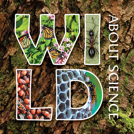 Wild About Science: Invertebrates