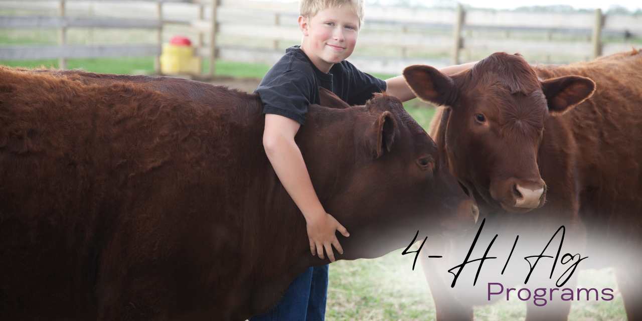 4-H / Ag