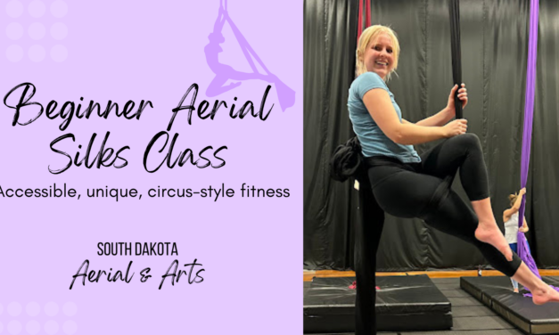 New Year’s Day Beginner Aerial Silks (Ages 18+)