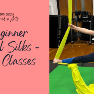 Kids Beginner Aerial Silks