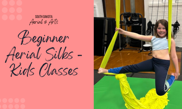 Kids Beginner Aerial Silks