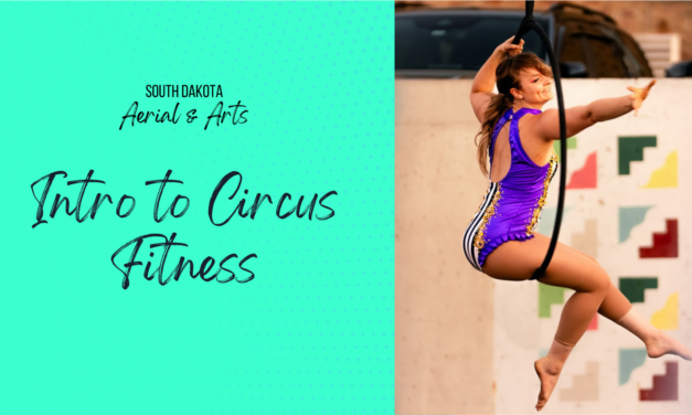 Intro to Circus Fitness – Ages 16+