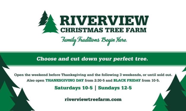 Cut Your Own Christmas Tree at Riverview