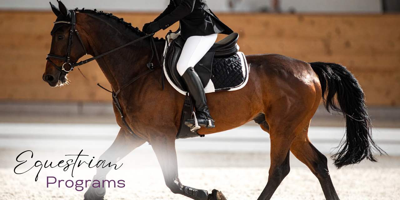 equestrian