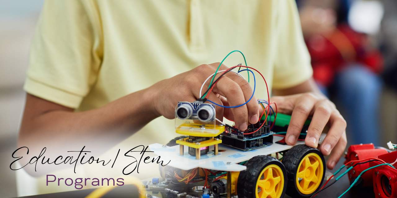 stem