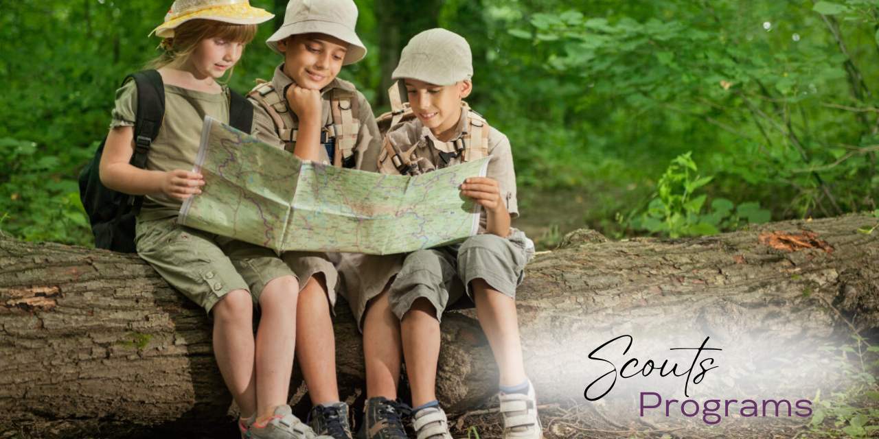 scouts