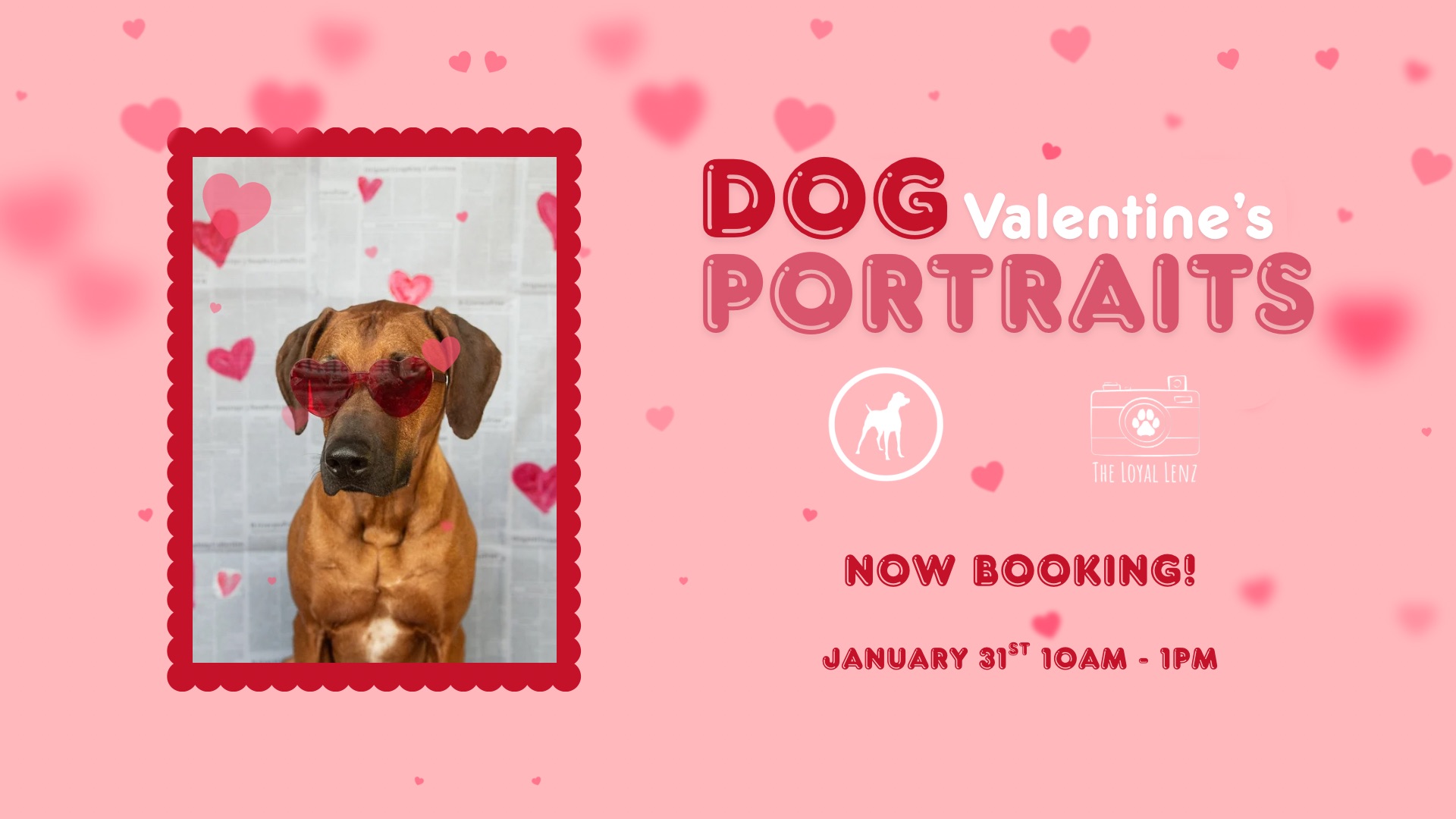 Dog Valentine's Portraits