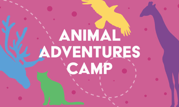 Animal Adventures Camp