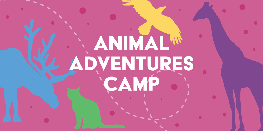 Animal Adventures Camp