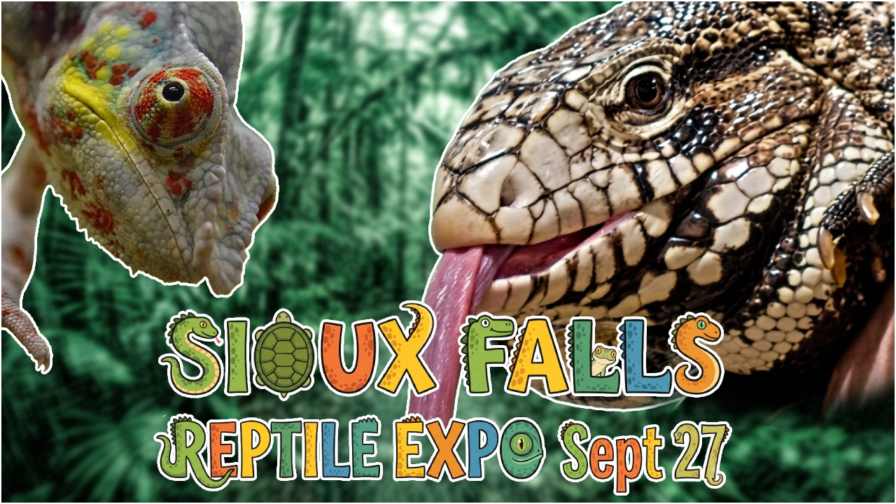 Sioux Falls Reptile Expo