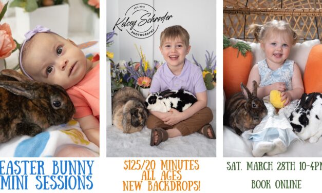 Easter Bunnies Mini Sessions