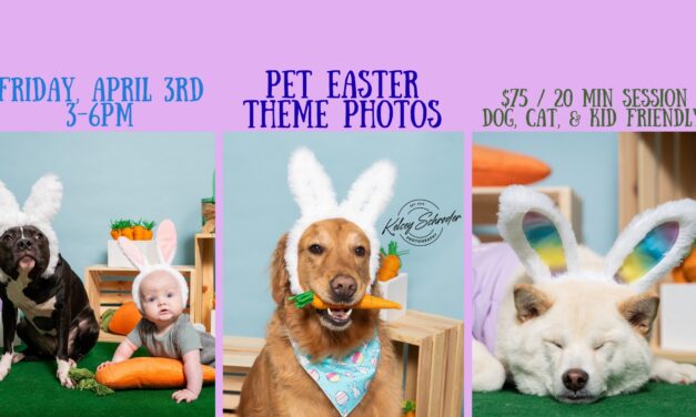 Pet Easter Photos