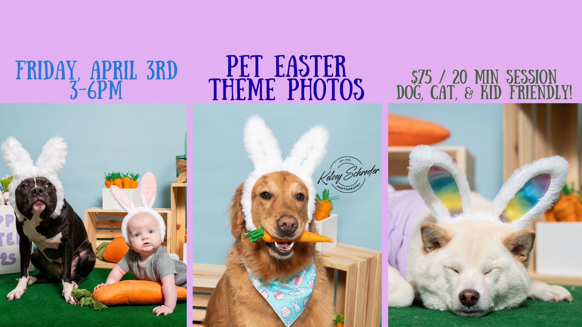 Pet Easter Photos