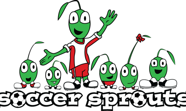 November/December INDOOR Soccer Season